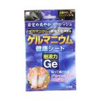 (2個セット) 樹液力 GEゲルマニウム健康シート お風呂 簡単 バス ボディケア スキンケア リラックス 小久保工業所 フットケア シート 足裏