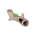 (6 шт. комплект )sdo- новый ... дерево S тропическая рыба * аквариумная рыбка все . долгое время SUDO аквариум сопутствующие товары аквариум для произведение искусства Star домашнее животное тропическая рыба аквариумная рыбка аквариум 