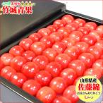 【6/9(月)〜6/15(日)日時指定OK】父の日!ぴったり!山形県産 さくらんぼ 佐藤錦(秀品/Lサイズ/手詰め/300g/化粧箱)