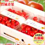 【6/10(月)〜6/16(日)日時指定OK】父の日！ぴったり！山形県産 さくらんぼ 佐藤錦 700g(秀品/2Lサイズ/専用化粧箱)