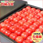 [6 month middle . from sequential shipping expectation / date designation OK] Yamagata prefecture production cherry Sato .500g(. ground / Special preeminence goods /L size / hand ../ vanity case )