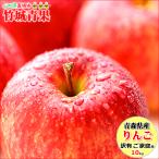 【即日発送実施中!】青森県産 訳あり りんご サンふじ 10kg(ご家庭用/22〜46玉入り/生食可)※日時指定はメールで※