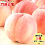 ショッピングわけあり 【8月上旬から順次出荷予定】山形県産 ご家庭用 もも 白桃 5kg(無袋栽培/玉数おまかせ)※日時指定はメールで※