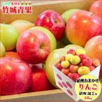 【10月上旬から順次出荷予定】産地厳選 加工用 品種おまかせりんご 10kg(ご家庭用/22〜60玉入り)