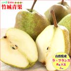 【10月下旬〜日時指定OK】山形県産 洋梨 ラ・フランス 2kg (秀品/大玉/4〜7玉入り)