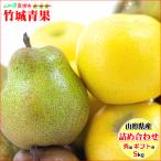 [ отгрузка средний ] зима подарок зимний плоды 2 цвет набор 5kg( превосходящий товар /11~17 шар ввод /si nano Gold &la* Франция )* на день указание. почтой *