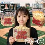 ポップコーン 袋 クラフト 紙袋 耐�