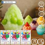 かき氷 シロップ 5つの味が楽しめるかき氷シロップ 使いきりセット 15袋(5種5袋×3)セット かき氷 氷みつ かきごおり 氷 シロップ