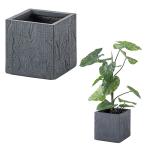 グリーンベースGRNB-208クワ...