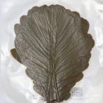  Kashiwa. лист (5 листов ) Kashiwa . морщина лист Kashiwa моти моти японские сладости материал сезон определенные товары кондитерские изделия материал Kashiwa моти лист конфеты сладости материал .. было использовано день край .. ..