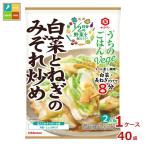 キッコーマン うちのごはんVege おそうざいの素 白菜とねぎのみぞれ炒め82g×1ケース（全40本）送料無料
