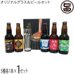 贅沢5種飲み比べ グラス付　網走ビール オリジナルグラス＆ビールセット 流氷ドラフト 知床ドラフト 桜桃の雫 ABASHIRIプレミアム 監極の黒 オリジナルグラス 各1本