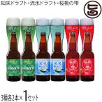 人気3種セット　網走ビール 3種 6本詰合せ 流氷ドラフト 知床ドラフト 桜桃の雫 各330ml×2本