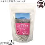 ショッピングエキナセア エキナセア茶 ティーバッグ 10g(1g×10袋)×2袋 茶三代一