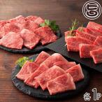 藤彩牛BBQセット A4-A5 藤彩牛 ロース カルビ モモ焼肉用 各300g フジチク 熊本県 人気 定番 土産 牛肉 さっとあぶり焼く感覚で 送料無料