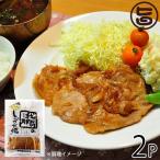 Yahoo! Yahoo!ショッピング(ヤフー ショッピング)やんばる島豚あぐー 黒豚 生姜焼き 260g×2P フレッシュミートがなは 沖縄 土産 アグー 貴重 肉