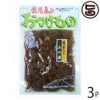Yahoo! Yahoo!ショッピング(ヤフー ショッピング)生姜入り 山川漬 140g×3袋 ふじさき漬物舗 鹿児島県 人気 定番 土産 伝統製法 カメ壺仕込み 南九州産の千切り生姜