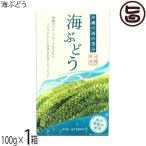 海ぶどう 120g×1箱 グローアップコー