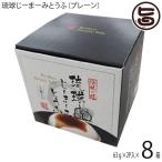 サイコロBOX入り 琉球じーまーみとうふ プレーン 63g×2個入×8箱 ハドムフードサービス 沖縄 郷土料理 沖縄の海塩 ぬちまーす使用