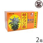 秋ウコン茶32袋入り×2箱 比嘉製茶 