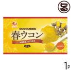 春ウコン粉 (袋入) 100g×1袋 比嘉製茶