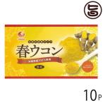 春ウコン粉 (袋入) 100g×10袋 比嘉製