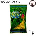比嘉製茶 春ウコン スライス 100g×1P 