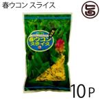 比嘉製茶 春ウコン スライス 100g×10P