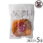 Yahoo! Yahoo!ショッピング(ヤフー ショッピング)博多玄海 きんぴら 約60g×2枚入り×5袋 博水 福岡 博多 人気 土産 惣菜 福岡県産えそ使用 博多てんぷら さつま揚げ
