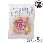 Yahoo! Yahoo!ショッピング(ヤフー ショッピング)博多玄海 紅しょうが 約60g×2枚入り×5袋 博水 福岡 博多 人気 土産 惣菜 福岡県産えそ使用 博多てんぷら さつま揚げ