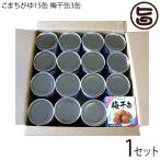 梅干缶 紀州南高梅 80g