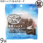 ショッピングぬちまーす 琉球ショコラ 塩 ぬちまーす 40g×9袋 ケンコウフーズ
