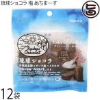 琉球ショコラ 塩 ぬちまーす 40g×12袋 ケンコウフーズ