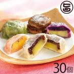 ギフト 熊本名物 いき�