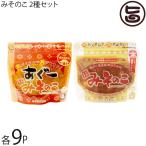 みそのこ 2種×各9個 みそのこ食品 沖縄 土産 人気 あんだんすー専門店の味 沖縄優良県産品 TBS番組 あさチャン 沖縄のご飯のお供 第三位