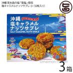 ショッピング生キャラメル 塩キャラメルナッツサブレ小×3箱 沖縄土産 人気 お菓子 焼き菓子 サブレ お土産 バラマキ ばら撒き土産 個包装 サブレ ナッツ キャラメル