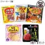 ショッピングミニジャーキー オキハムジャーキーミニ5種セレクト 沖縄ハム総合食品 沖縄 人気 定番 おつまみ