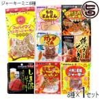 オキハムジャーキーミニ8種セレクト×1セット 沖縄ハム総合食品 沖縄 人気 定番 おつまみ 珍味