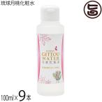 琉球月桃化粧水 100ml×9本 沖縄ウコン販売 沖縄 土産 スキンケア 沖縄産月桃使用 水蒸気蒸留法により作りあげた 天然 無添加化粧水