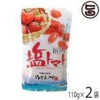 ショッピングぬちまーす 塩トマト 110g×2P 沖縄美健販売 沖縄 土産 沖縄土産 夏バテ防止 熱中症対策 沖縄のミネラルたっぷり ドライトマト