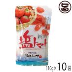 ショッピングぬちまーす 塩トマト 110g×10P 沖縄美健販売 沖縄 土産 沖縄土産 夏バテ防止 熱中症対策 沖縄のミネラルたっぷり ドライトマト