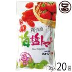 ショッピングぬちまーす 梅塩トマト 110g×20P ミネラルたっぷり ドライトマト 夏バテ防止 熱中症対策に 人気 お土産