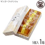 ギフト マンゴーフィナンシェ 5個入り×1箱 ロイヤルエンターテイメント マンゴースイーツ専門店