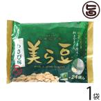 美ら豆 わさび味 240g×1袋 琉球フロント 沖縄 そら豆 沖縄 土産