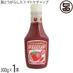 島とうがらし入り トマトケチャップ 300g×1本 琉球フロント