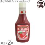 島とうがらし入り トマトケチャップ 300g×2本 琉球フロント