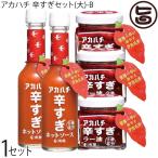 アカハチ 辛すぎセット(大)-B (ホットソース×2本、ラー油×3本) サウスプロダクト 調味料 スパイス
