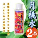 月桃水 100ml ×2本 沖縄 希少 美容 健康管理
