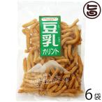 Yahoo! Yahoo!ショッピング(ヤフー ショッピング)豆乳カリント 150g×6袋 たけうち 熊本県 九州 復興支援 健康管理 豆乳のかりんとう ヘルシー お菓子