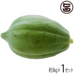 沖縄県産 青パパイヤ 野菜用 約3kg 琉宮青果 野菜 パパイン酵素 ポリフェノール ビタミンC